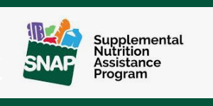 SNAP Program Free Food USA