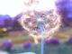 Free Wishes for Cancer Patients and Families