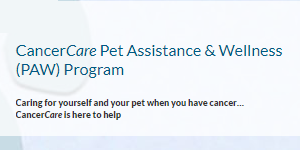 Paw Program for Cancer Patients