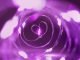 Free Programs for Pancreatic Cancer Patients