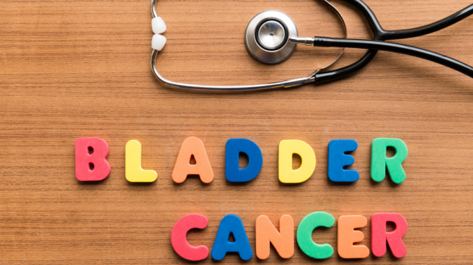 Bladder Cancer Diagnosis Treatment and Support2