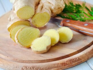 Ginger and Nausea The Science