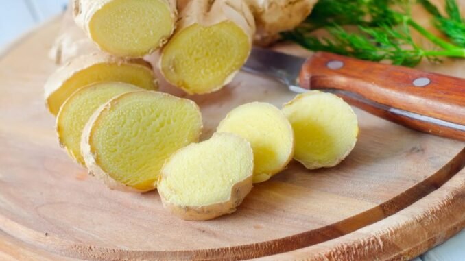 Ginger and Nausea The Science