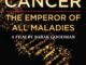 Cancer The Emperor of All Maladies Documentary