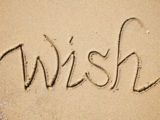 Make a Wish Foundation for Adults