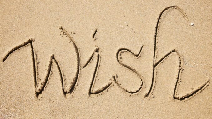 Make a Wish Foundation for Adults