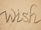 Make a Wish Foundation for Adults